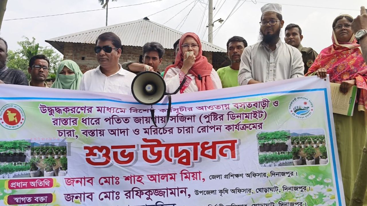 ঘোড়াঘাটে কৃষি অফিসের উদ্যোগে সজনা চারা রোপণ কর্মসূচির উদ্বোধন