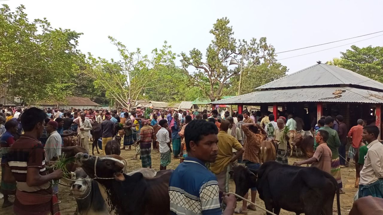 গাইবান্ধার সাঘাটা ভরতখালী গো-হাটে ক্রেতা-বিক্রেতা উভয়ের কাছে টাকা আদায়ের অভিযোগ! 