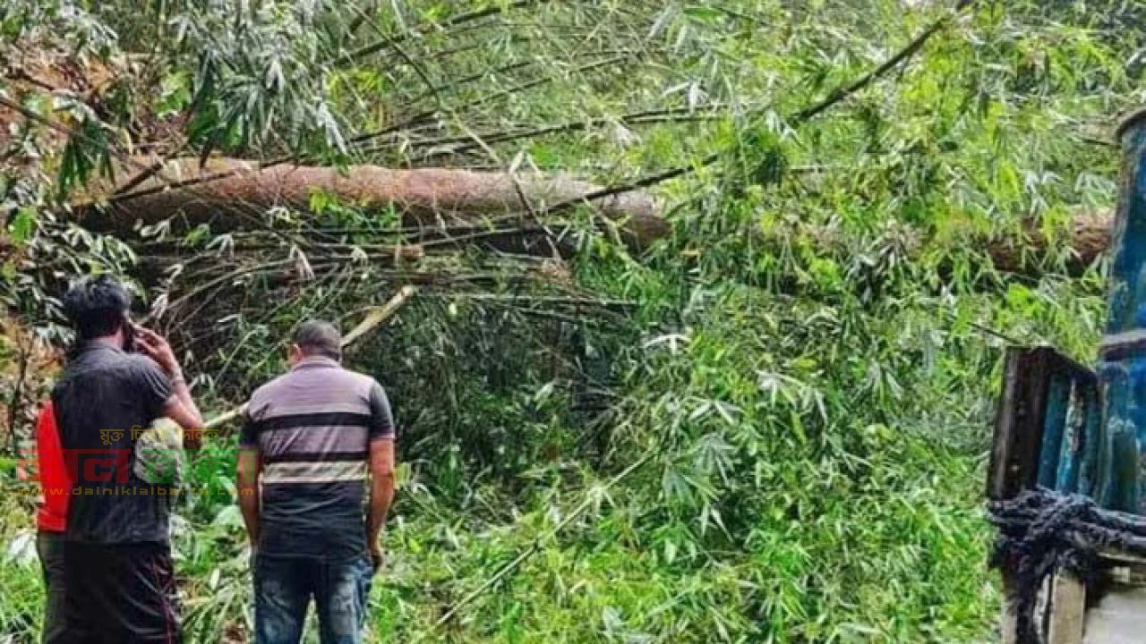 ঝড়ে গাছ পড়ে সাড়ে ৫ ঘন্টা যান চলাচল বন্ধ: এখন স্বাভাবিক