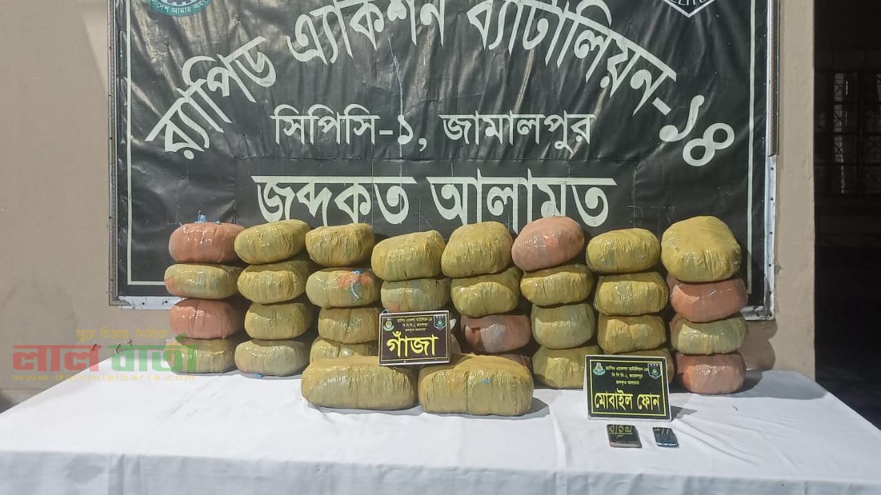 সরিষাবাড়ীতে র‍্যাবের অভিযানে ৬৯ কেজি গাঁজাসহ মাদক ব্যবসায়ী আটক