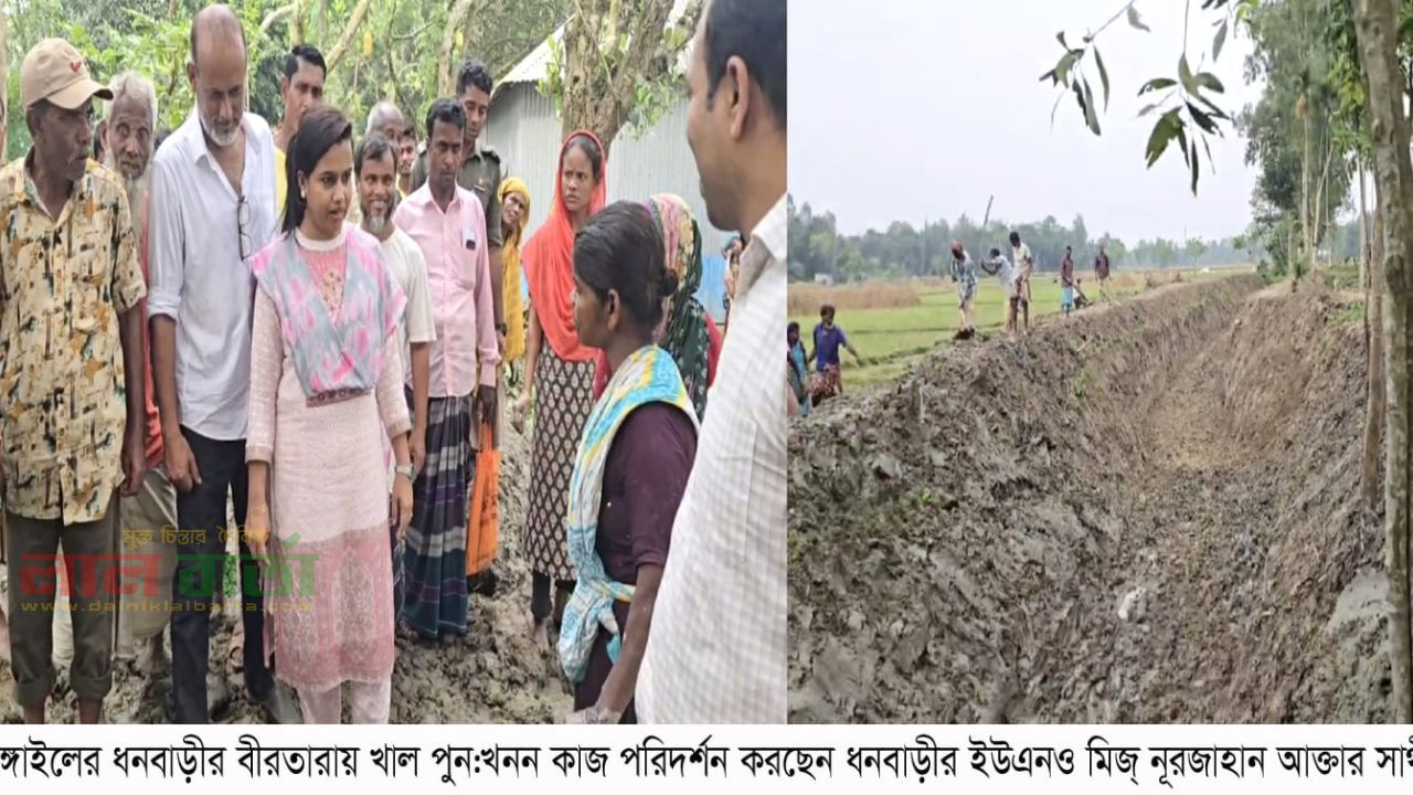 ধনবাড়ীতে পুন:খাল খনন পরিদর্শন ইউএনও’র 