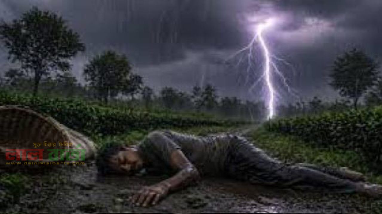 বজ্রঘাতে পাঁচ চা-শ্রমিক নারী আহত 