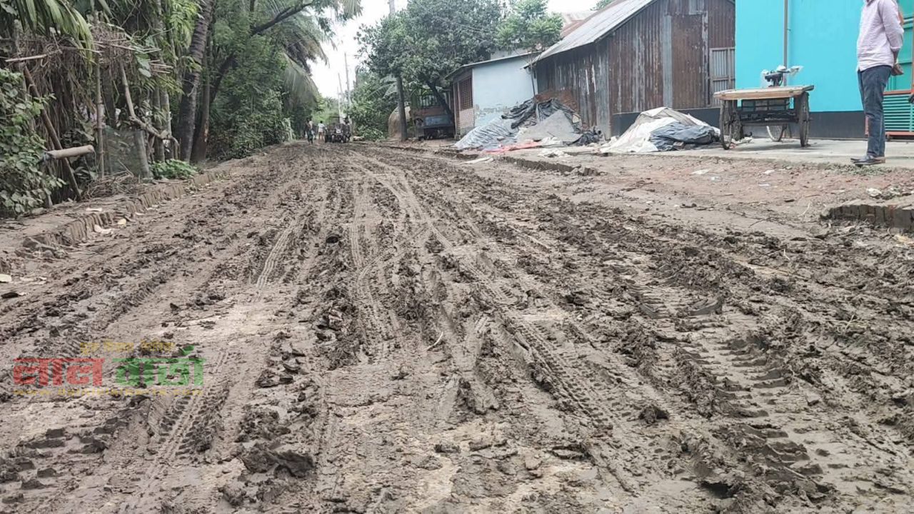 নাটোরের গুরুদাসপুর  সড়কের বর্তমান চিত্র