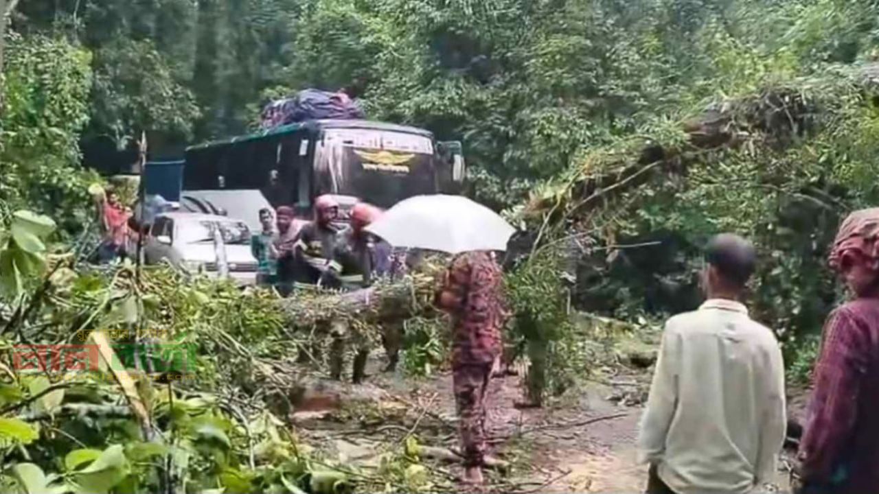 কালবৈশাখী ঝড়ে লাউয়াছড়ার সড়কে গাছ উপড়ে জনবিঘ্নিত 