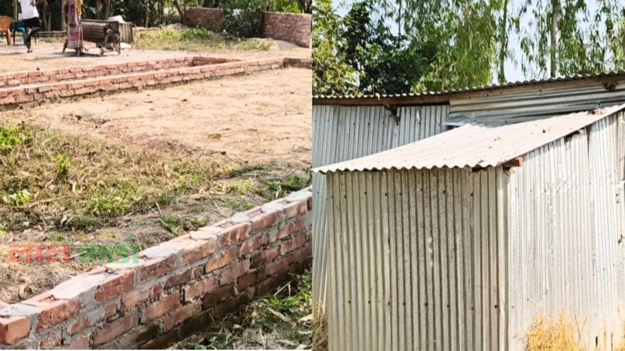 রাতে দেখা স্বপ্ন বদলে দিল সামিদুলের   জীবন