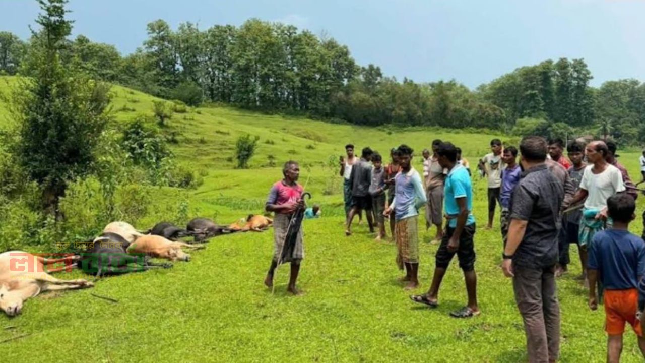 বজ্রপাতে প্রান গেল ১৪টি প্রানীর 