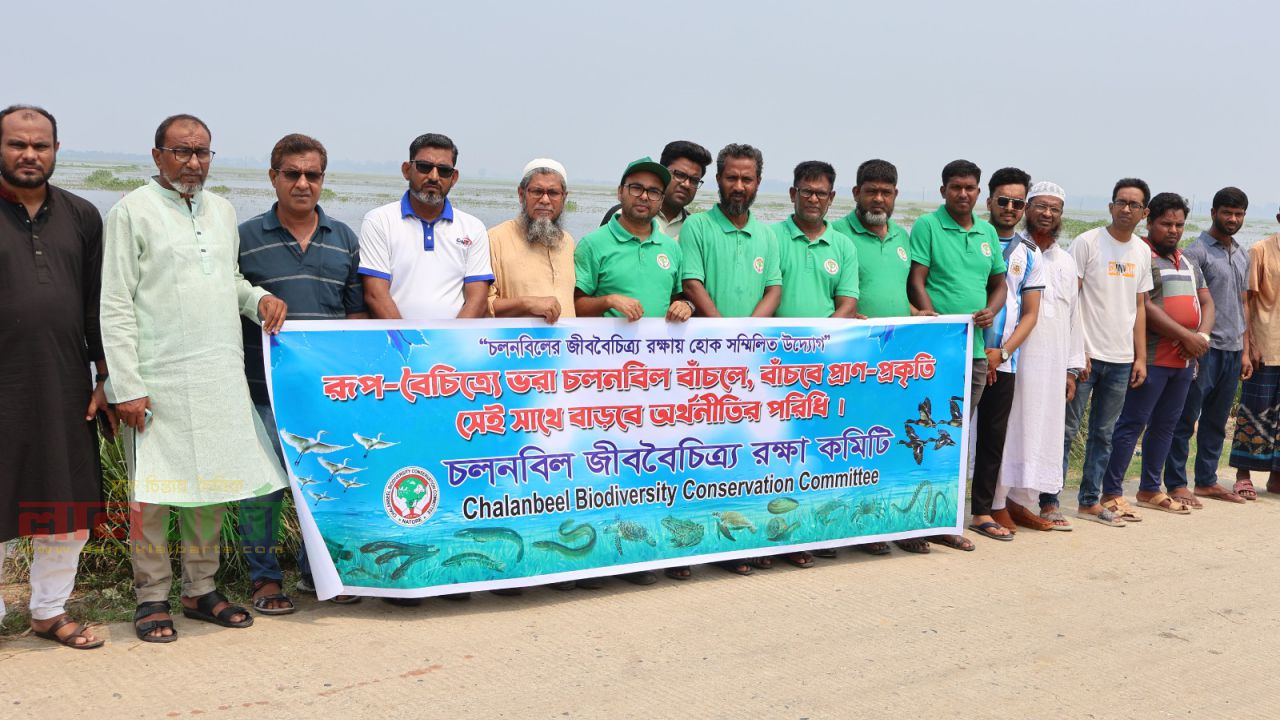 চলনবিলের মাছ ও পাখি রক্ষায় মানববন্ধন 
