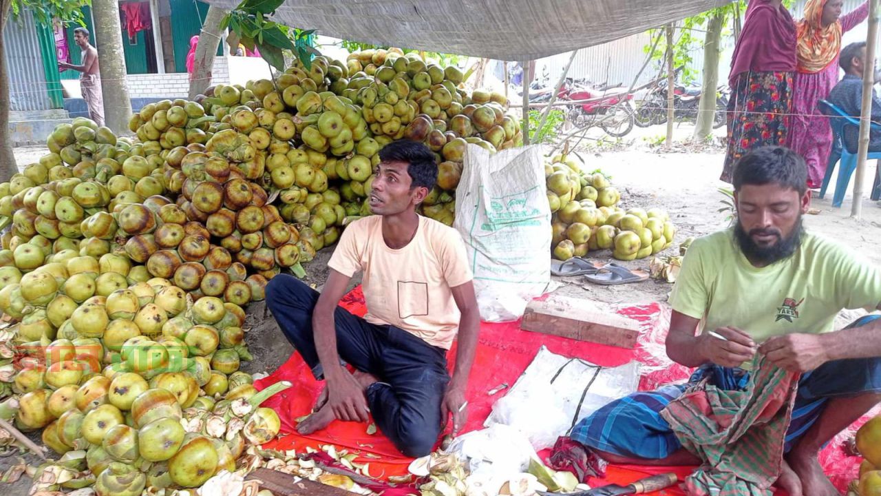 কাজিপুরে গরমে বাড়ছে কাঁচা তালের শাঁসের কদর