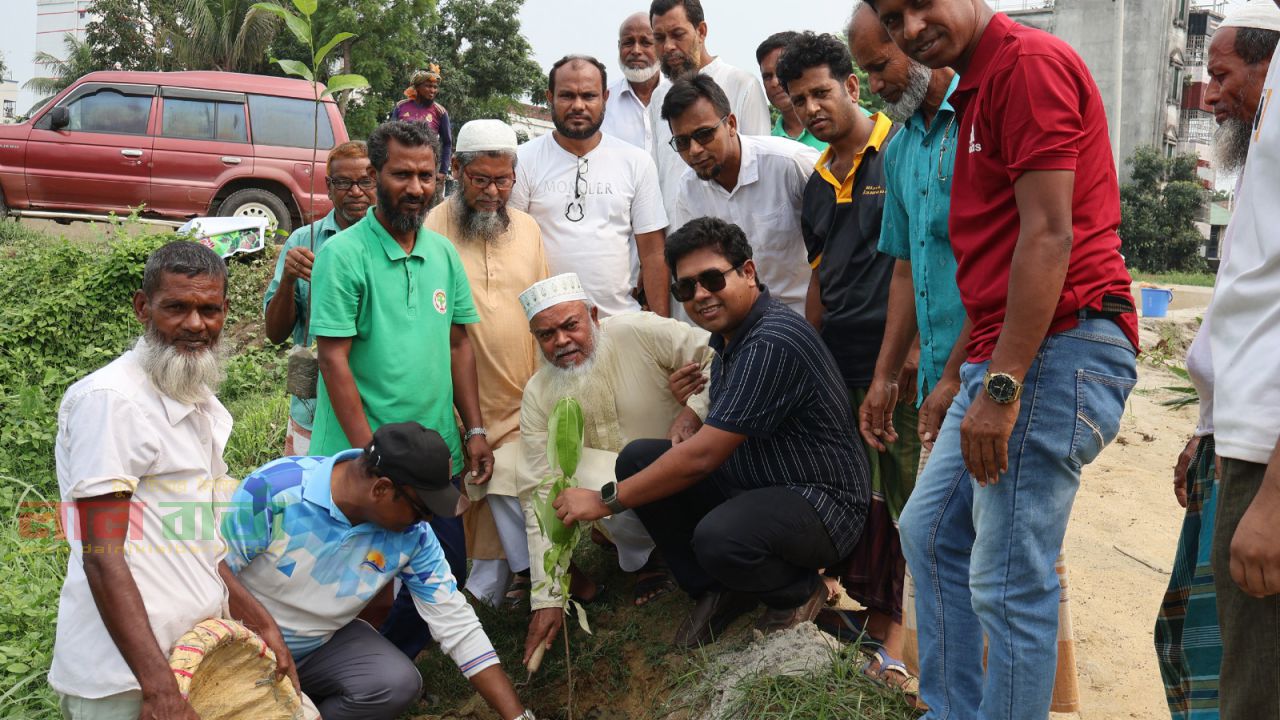 সিংড়ায় বিশ্ব পরিবেশ দিবসে বৃক্ষ রোপণ কর্মসূচি