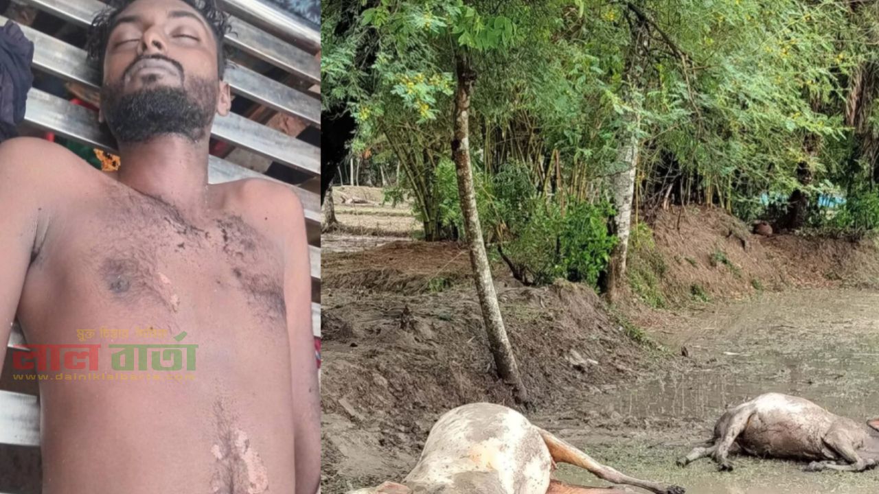শ্যামনগরে বজ্রপাতে যুবকের মৃত্যু, পৃথক স্থানে তিন গবাদিপশু নিহত