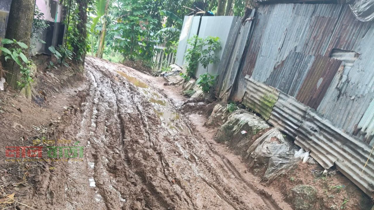 রায়গঞ্জের আবুদিয়া,শৈলী সাবলা রাস্তার বেহাল দশা: জনদুর্ভোগ চরমে