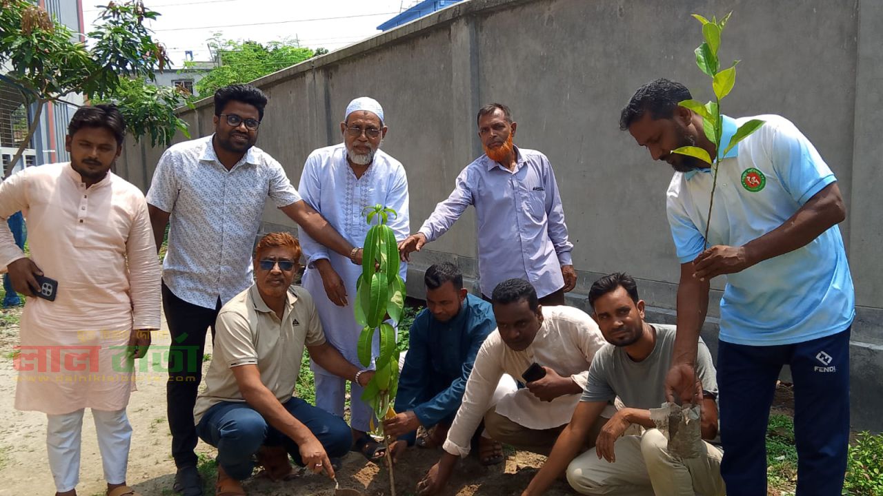 সিংড়ায় ৫ বছরে ২৫ কোটি বৃক্ষরোপণ কর্মসূচির উদ্বোধন
