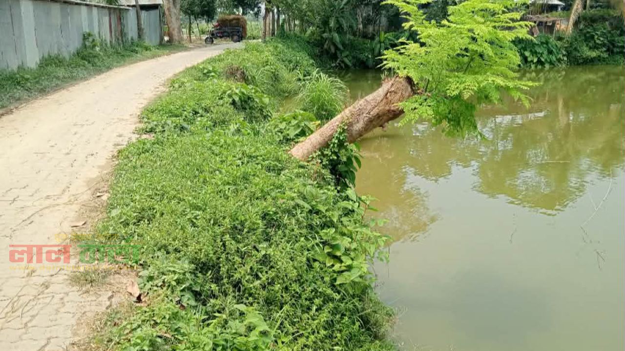 তাড়াশে কোটি টাকার রাস্তা গিলে খাচ্ছে পুকুর: চরম ভোগান্তিতে এলাকাবাসী