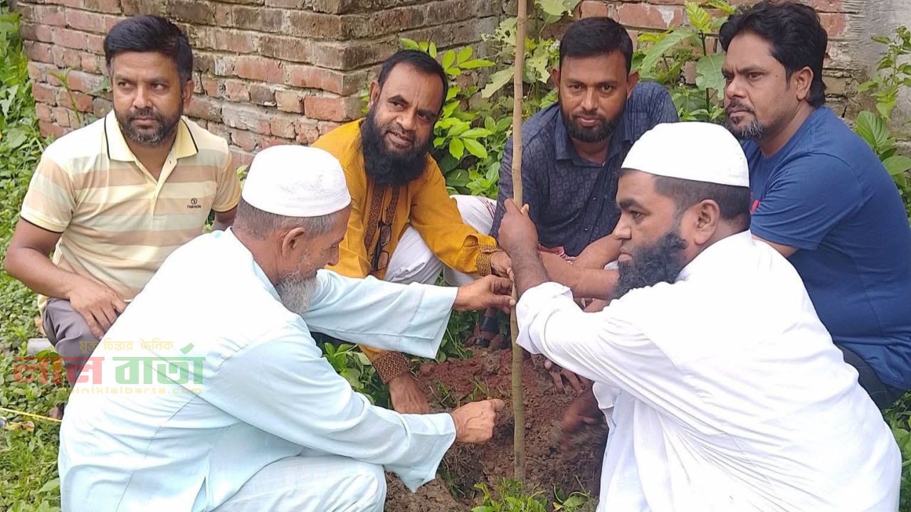 চান্দাইকোনায় বৃক্ষরোপন কর্মসূচি পালিত