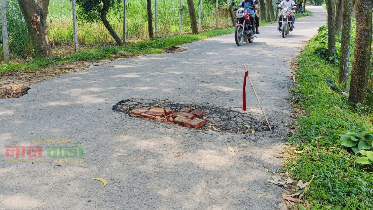 রায়গঞ্জের শালিয়াগাড়ী-ভবানীপুর সড়ক  : বড় গর্তে তৈরি হয়েছে মৃত্যুফাঁদ!