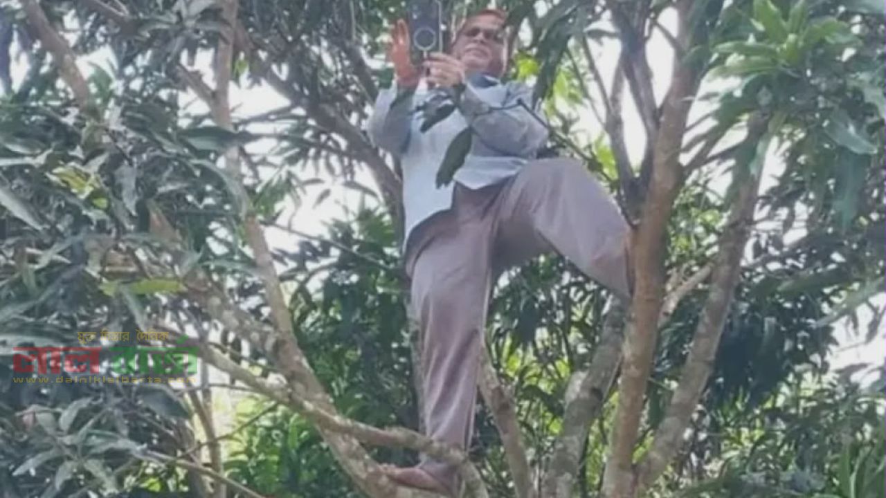 রাঙামাটিতে নেটওয়ার্কের খোঁজে গাছে উঠে শিক্ষকের হাজিরা
