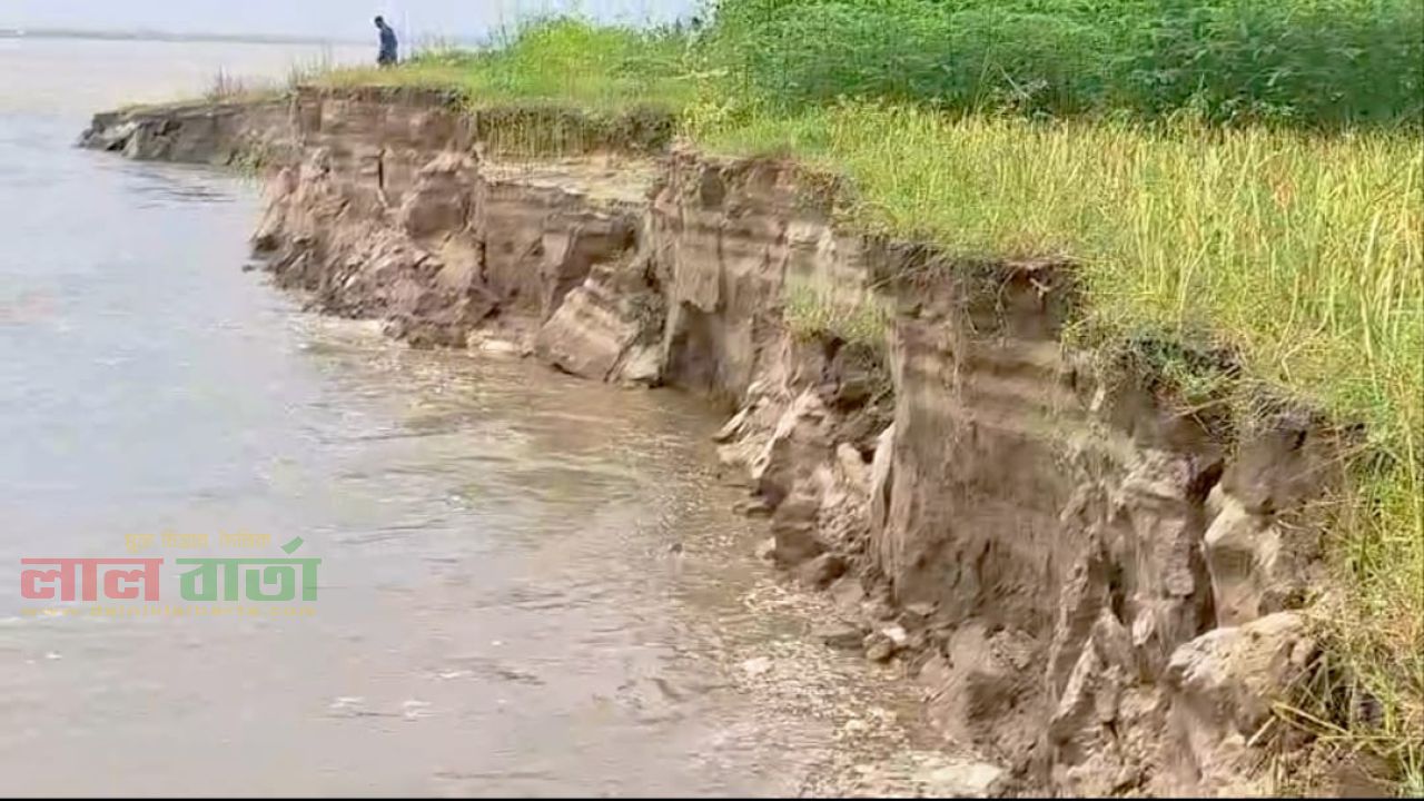 ফরিদপুরে পদ্মার গ্রাস, বিলীন শত শত ঘরবাড়ি: আতঙ্কে নদীপাড়ের মানুষ