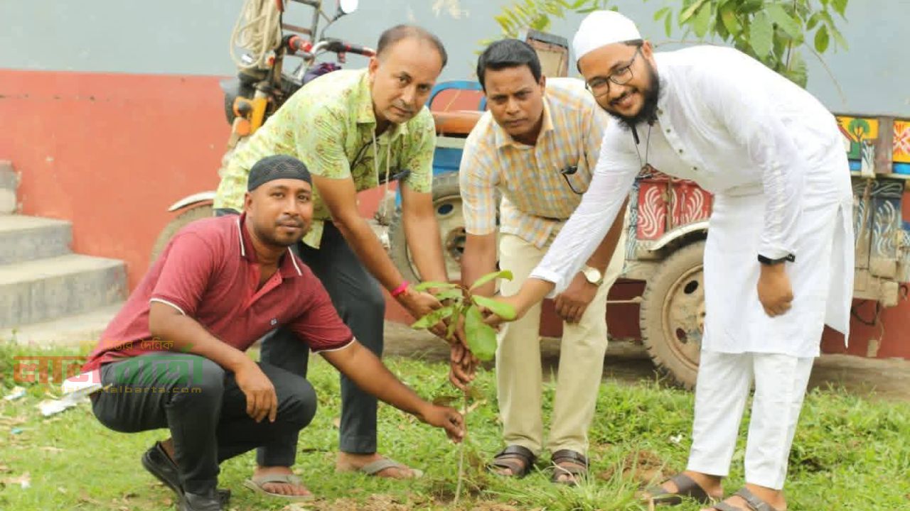 গাছ লাগান, দেশ বাঁচান: তাড়াশে ছিন্নমূল মানবসেবা সংগঠনের বৃক্ষরোপণ।