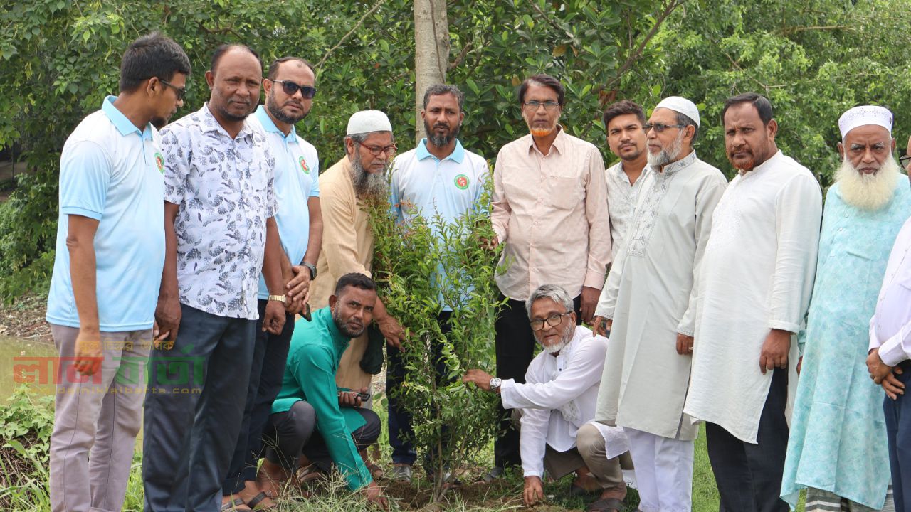 সিংড়ায় জিয়া পরিষদের উদ্যোগে ২৫ কোটি বৃক্ষরোপণ কর্মসূচির উদ্বোধন 