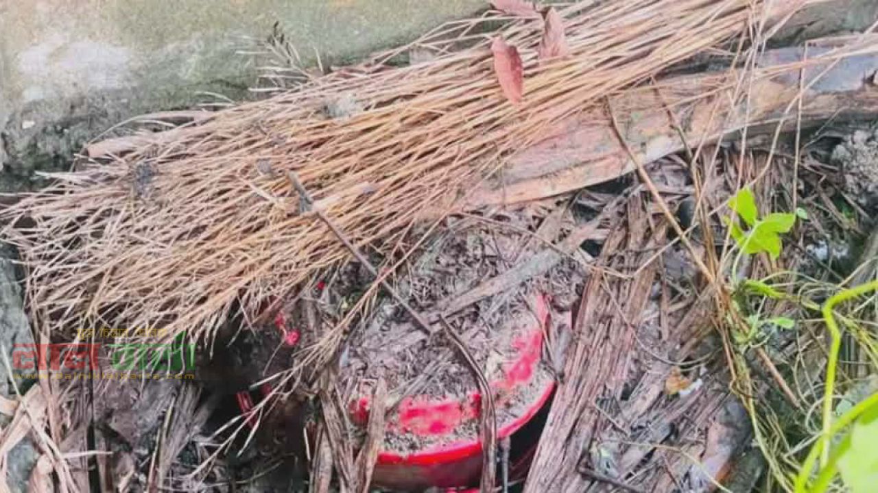  কবরস্থান থেকে এক বালতি ককটেল উদ্ধার