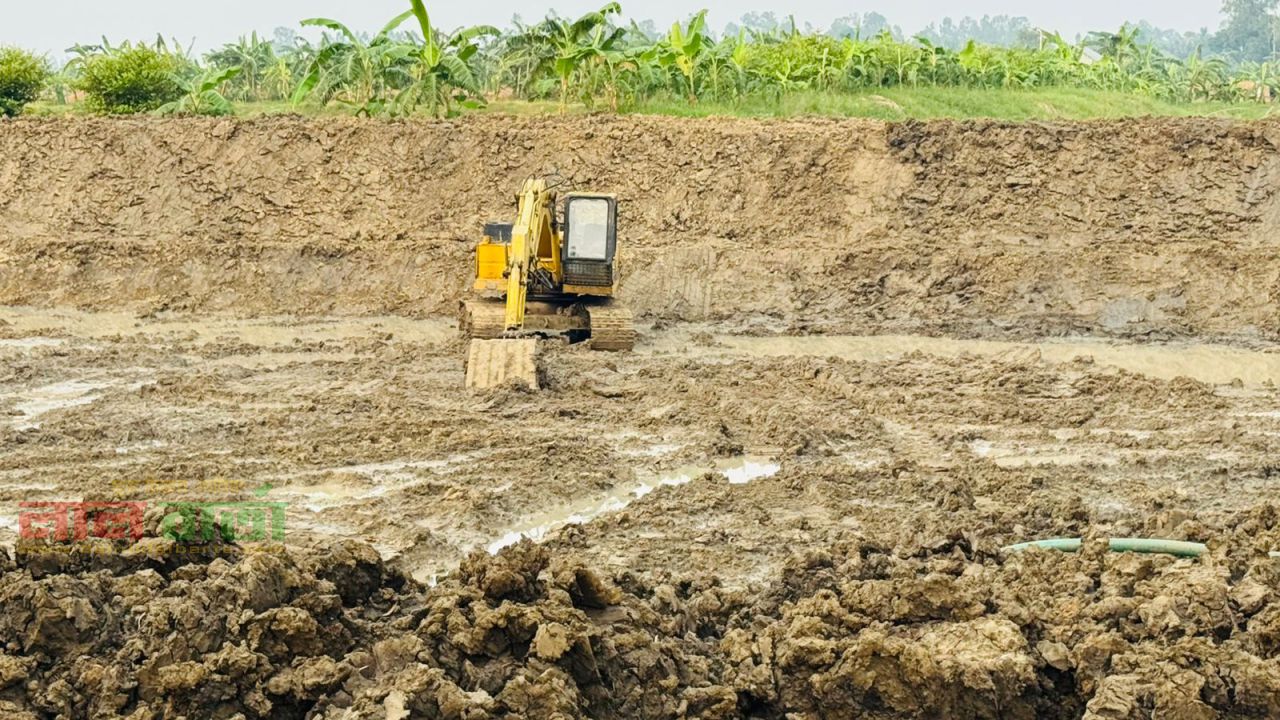 তাড়াশে ব্রিজের পাশে অবৈধ পুকুর খনন: প্রভাবশালীর দাপটে অসহায় কৃষক