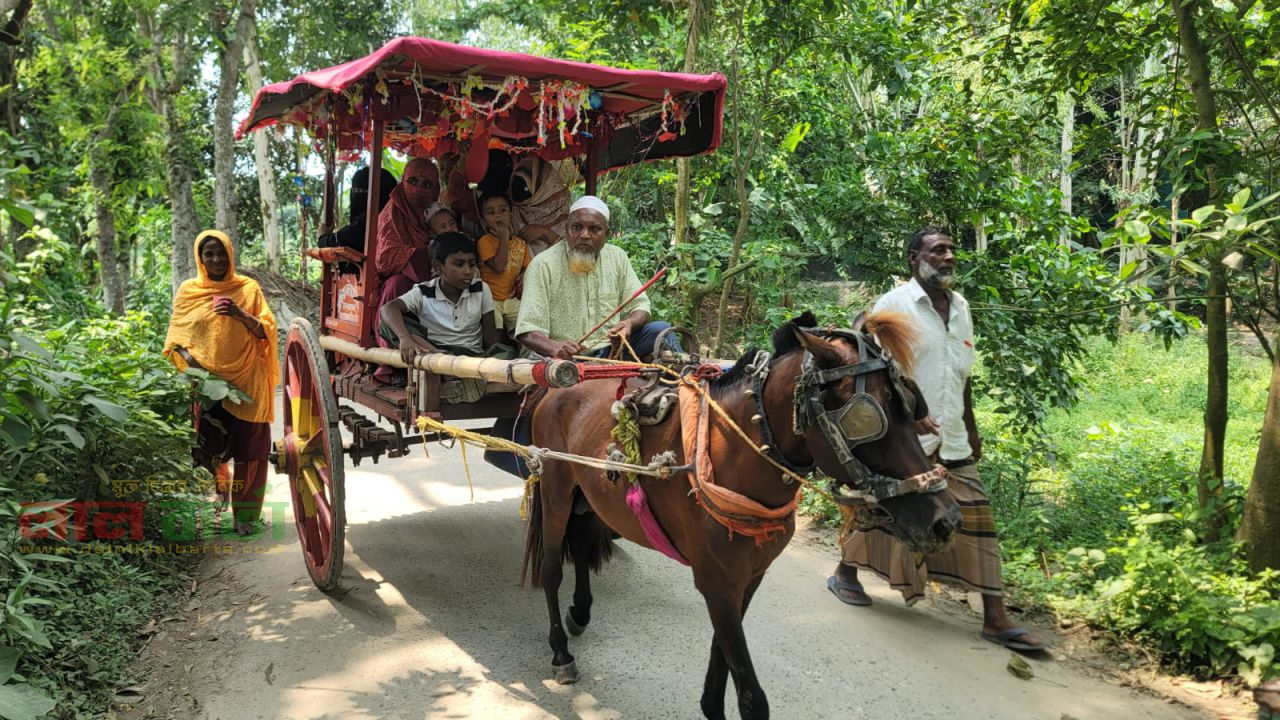 নাতি হওয়ায় নানার ব্যতিক্রম উল্লাস: ঘোড়ার গাড়িতে গ্রামভ্রমণ, ৩ হাজার মিষ্টি বিতরণ
