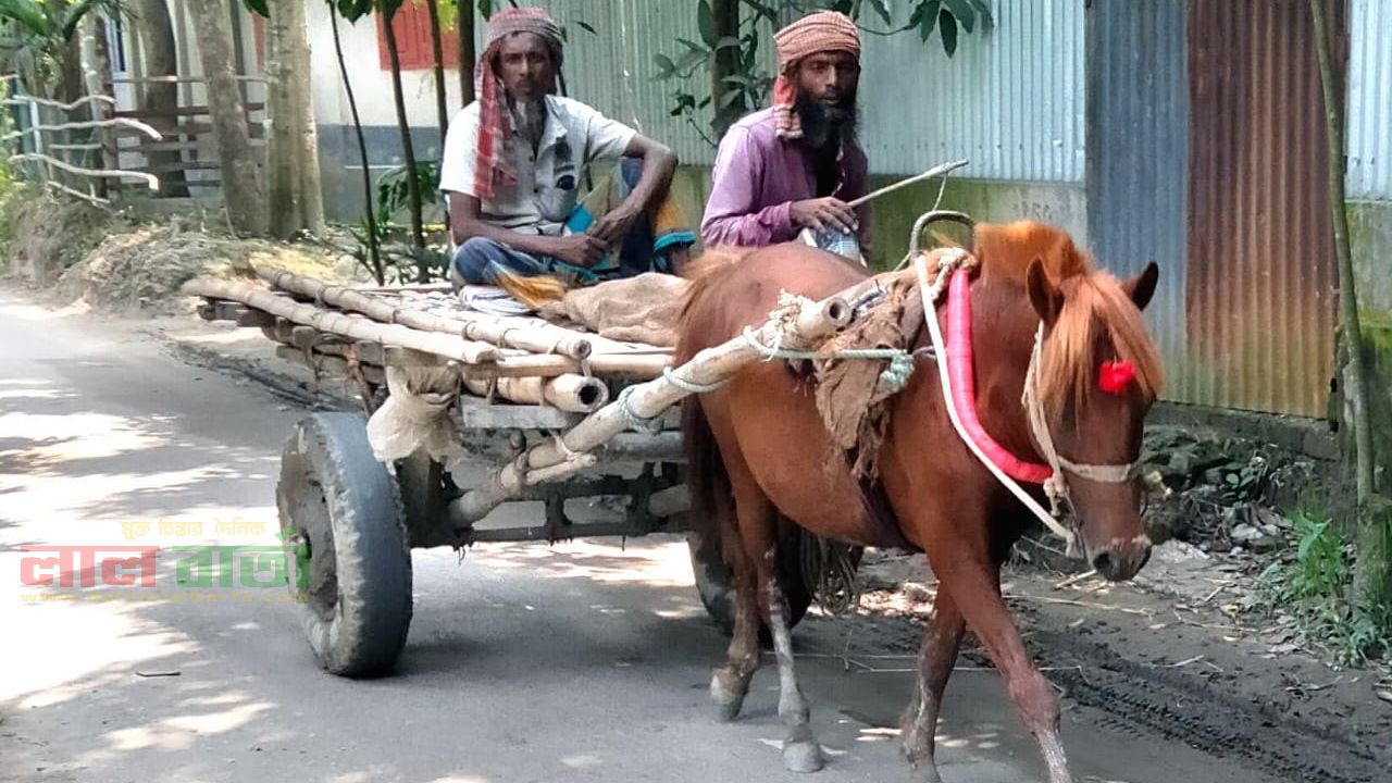 রায়গঞ্জে হারিয়ে যাচ্ছে ঐতিহ্যের ঘোড়ার গাড়ি: স্মৃতিতে আজ শুধুই নীরব সাক্ষী