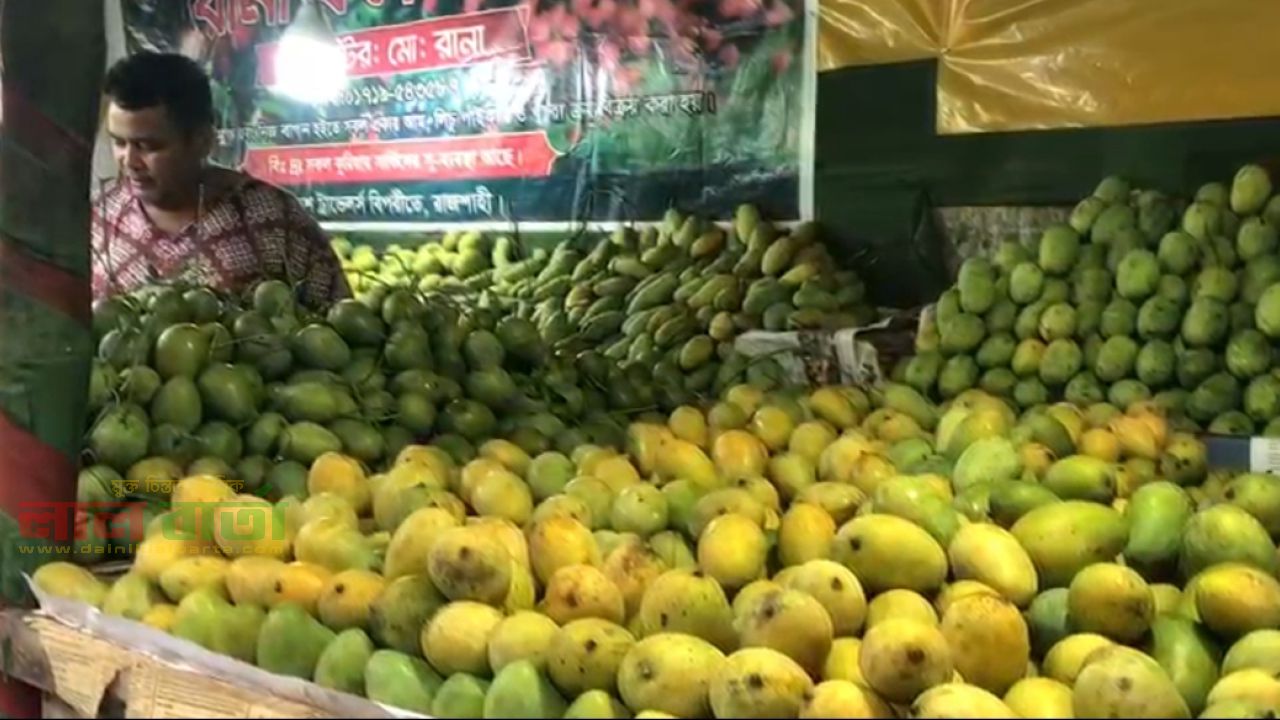 রাজশাহীর আমের বাজারে জমজমাট বেচাকেনা, ব্যস্ত চাষি-ব্যবসায়ীরা