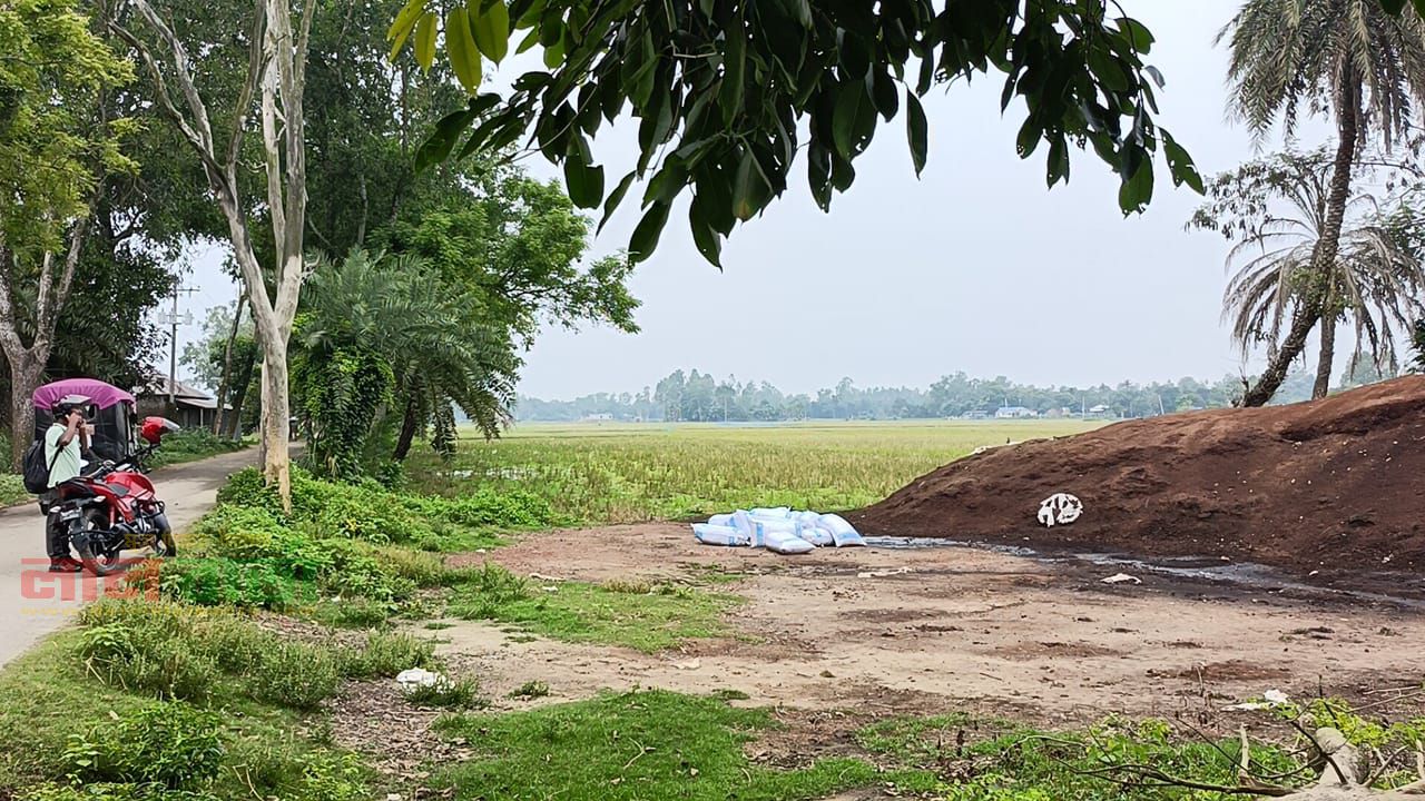 রায়গঞ্জের শালিয়াগাড়ী সড়কের পাশে মুরগির বিষ্ঠার স্তূপ, দুর্গন্ধে অতিষ্ঠ পথচারী