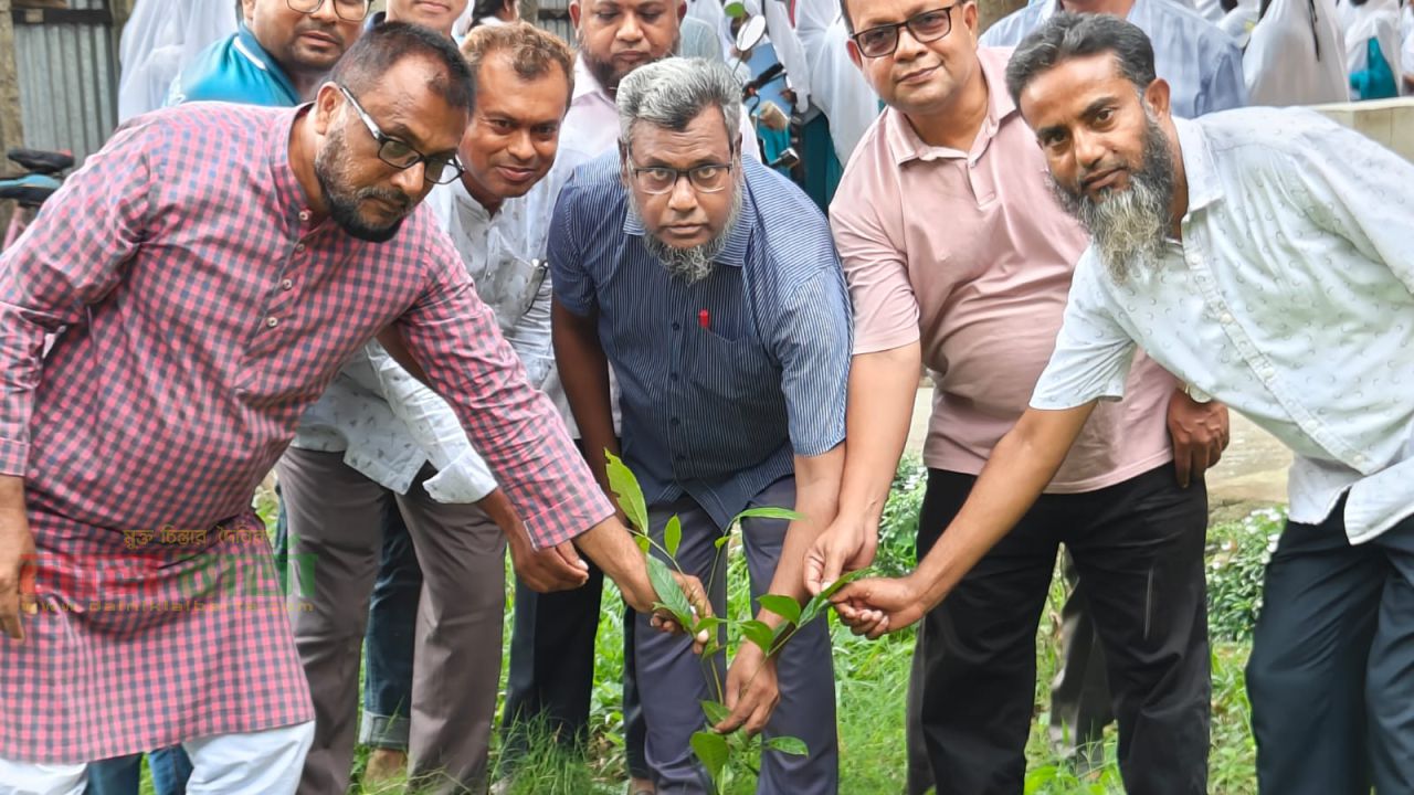 ধানগড়া মহিলা ডিগ্রি কলেজে বৃক্ষরোপণ কর্মসূচির উদ্বোধন