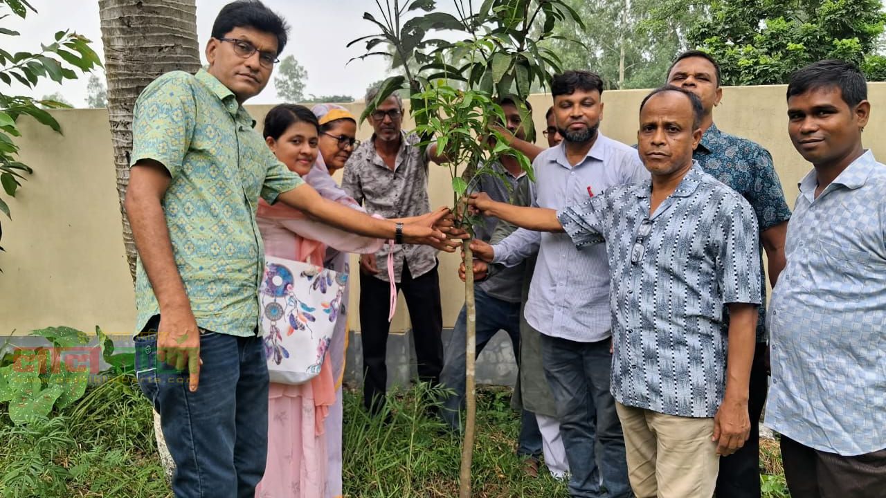 সলঙ্গার আঙ্গারু বালিকা বিদ্যালয়ে বৃক্ষরোপণ