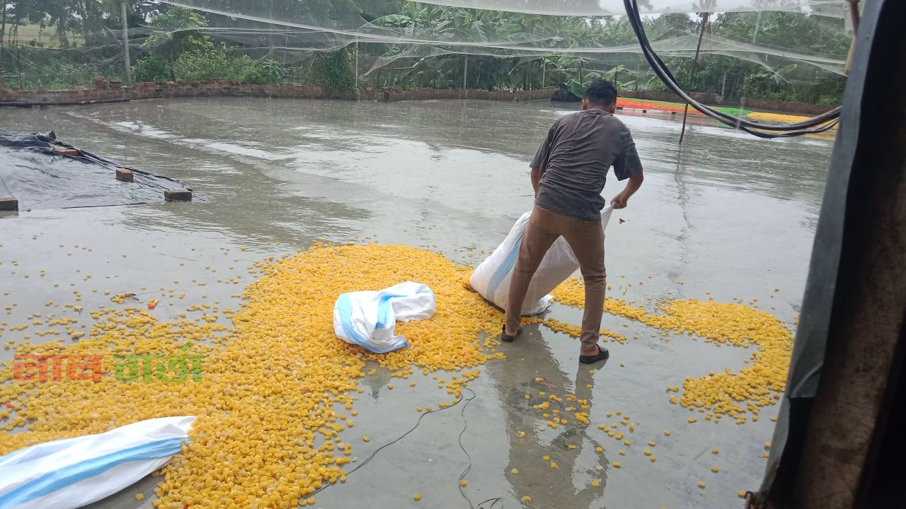 রায়গঞ্জে  দুই প্রতিষ্ঠানকে ১ লাখ ৪০ হাজার টাকা জরিমানা