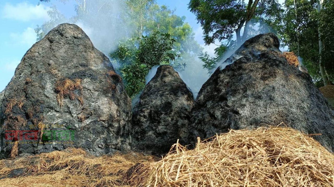 সিংড়ায় গভীর রাতে স্কুল দপ্তরীর ৪টি খড়ের পালা পুড়ে ছাই