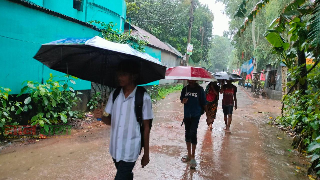 অঝোর ধারায় বর্ষণ: বৃষ্টি উপেক্ষা করেই কর্মব্যস্ত জনজীবন