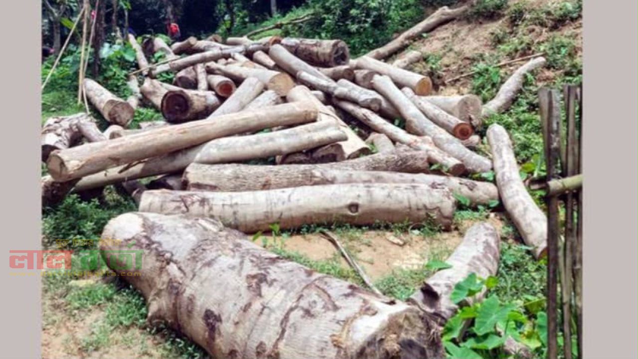 চা-বাগানের ম্যানেজারের বিরুদ্ধে অবৈধভাবে গাছ কাটার মামলা