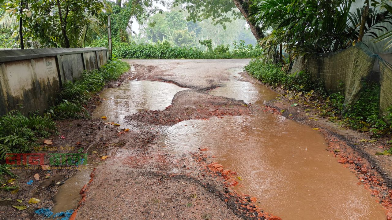 রায়গঞ্জে বেহাল রাস্তাঘাট: অচল জনজীবন, ক্ষুব্ধ পৌরবাসী