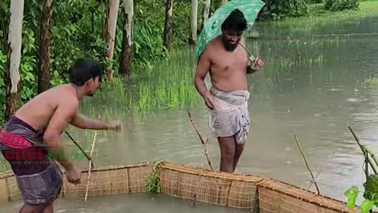 বর্ষার জলে ফিরেছে দেশীয় মাছ ধরার ঐতিহ্য