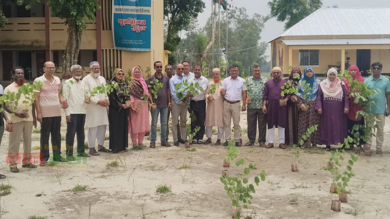কাজিপুরে আফজাল হোসেন মেমোরিয়াল ডিগ্রি কলেজ ক্যাম্পাসে বৃক্ষরোপণ 