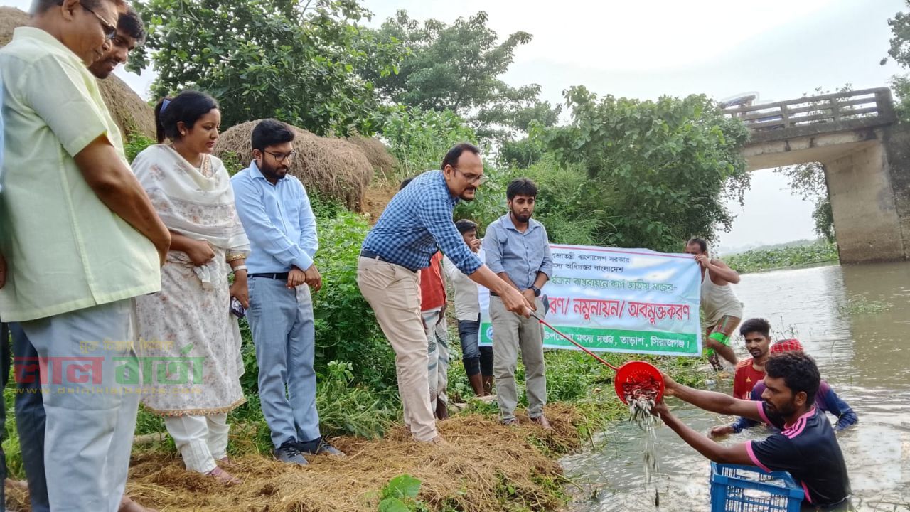 তাড়াশে বিল নার্সারিতে পোনা মাছ অবমুক্তকরণ: উন্মুক্ত জলাশয়ে মৎস্য উৎপাদন বৃদ্ধির উদ্যোগ