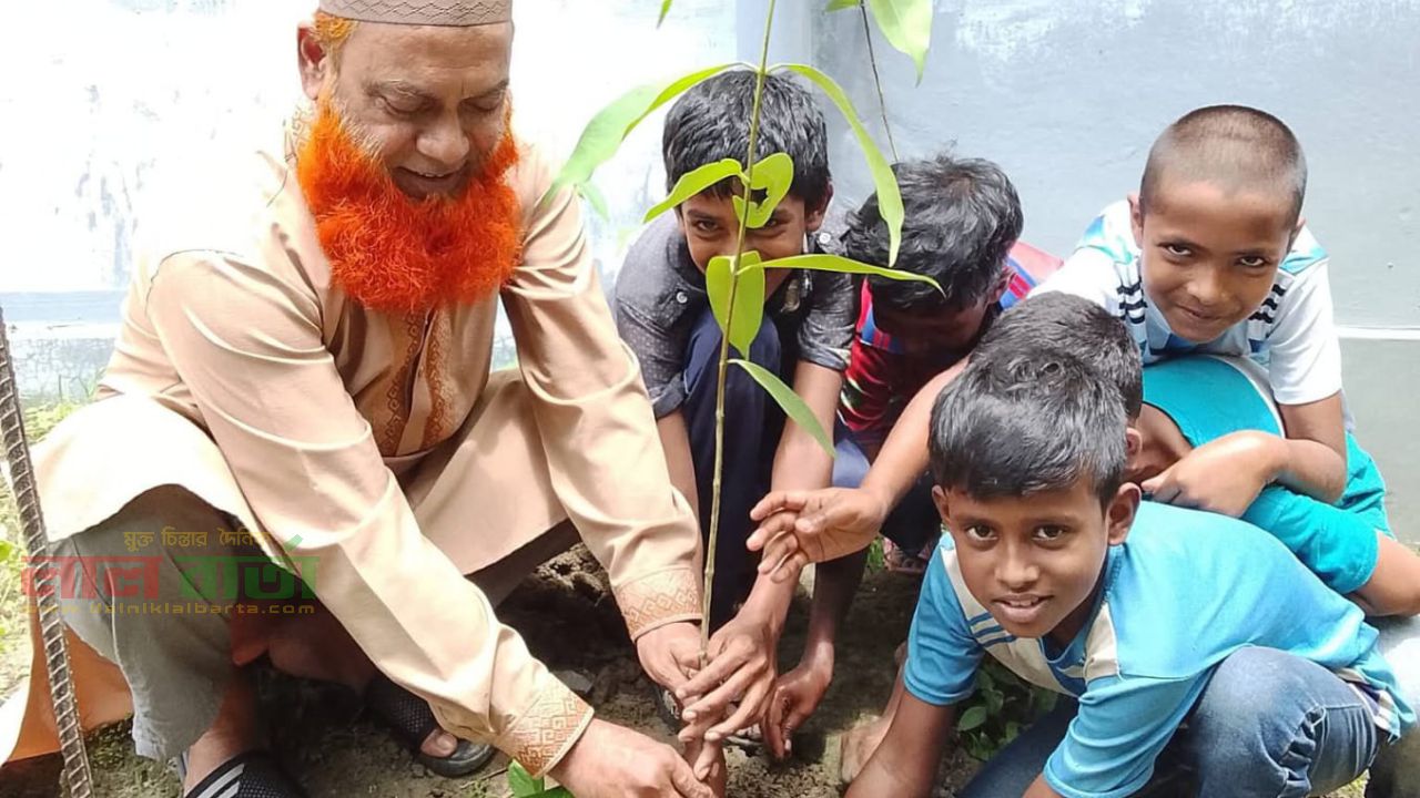 কাজিপুরে বরইতলী সরকারি প্রাথমিক বিদ্যালয়ে বৃক্ষরোপণ