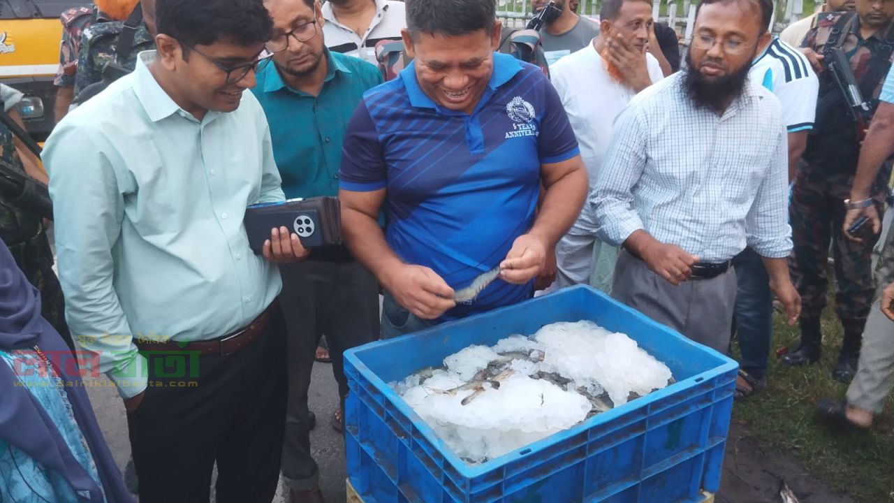 সাতক্ষীরায় ৮২০ কেজি জেলি বাগদা ধ্বংস; ব্যবসায়ীকে ২০ হাজার টাকা জরিমানা