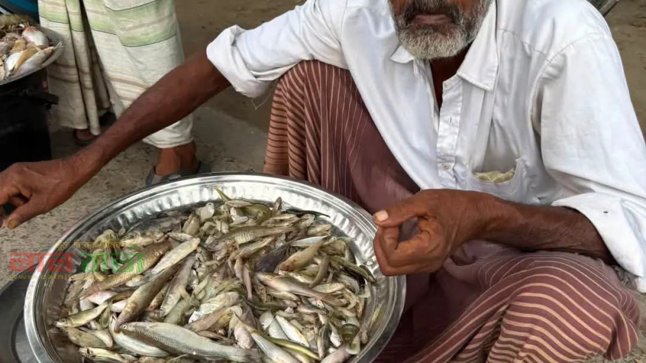 যমুনার টাটকা মাছের স্বর্গরাজ্য: সিরাজগঞ্জের ‘মতিন সাহেবের ঘাট’