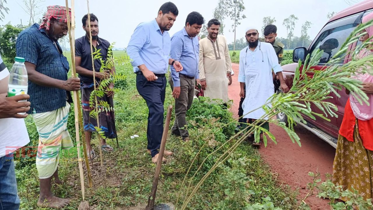 সিংড়ায় বিয়াশ-রাতাল রাস্তায় বৃক্ষরোপণ উদ্বোধন