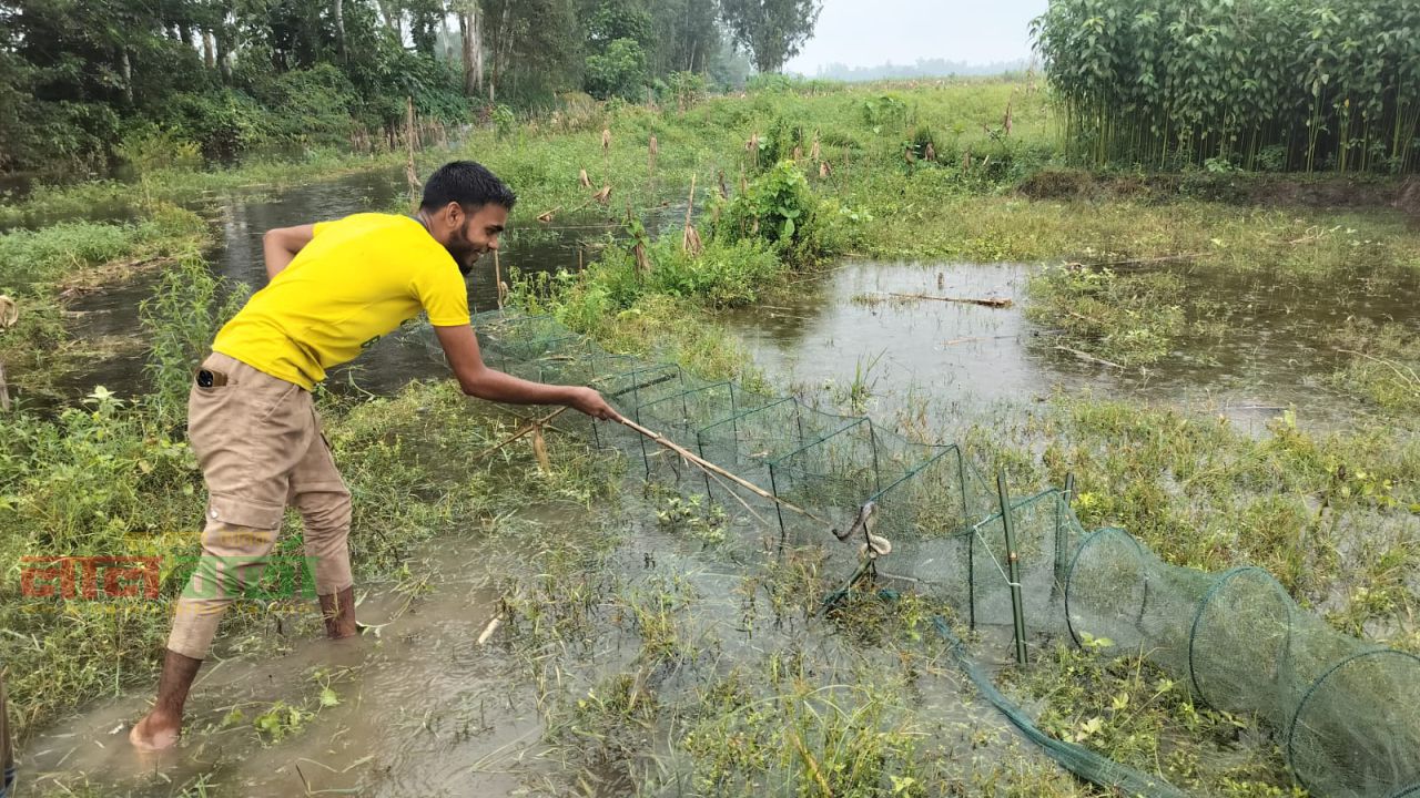কাজিপুরে মাছ ধরতে গিয়ে সাপের কামড়ে এক ব্যক্তির মৃত্যু