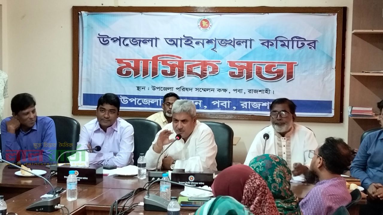 সরকার দেশে নির্বাচনী ইশতেহার বাস্তবায়ন করতে শুরু করেছে: এমপি মিলন