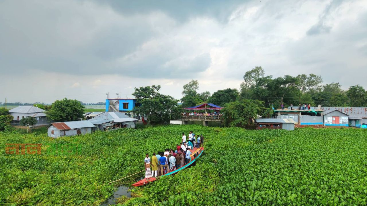 সিংড়ার চলনবিলে জলাবদ্ধতা নিরসনে কচুরিপানা পরিষ্কার কর্মসূচির উদ্বোধন 
