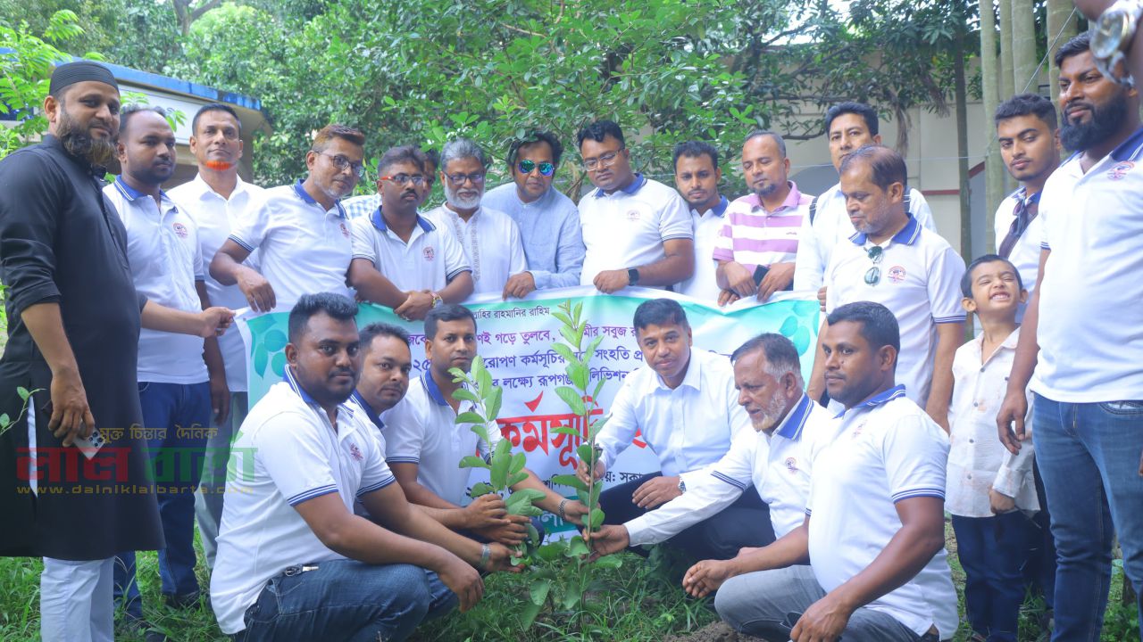 বৃক্ষরোপণ কর্মসূচির অংশ হিসেবে ‎রূপগঞ্জ টেলিভিশন মিডিয়া ক্লাবের বৃক্ষরোপণ।