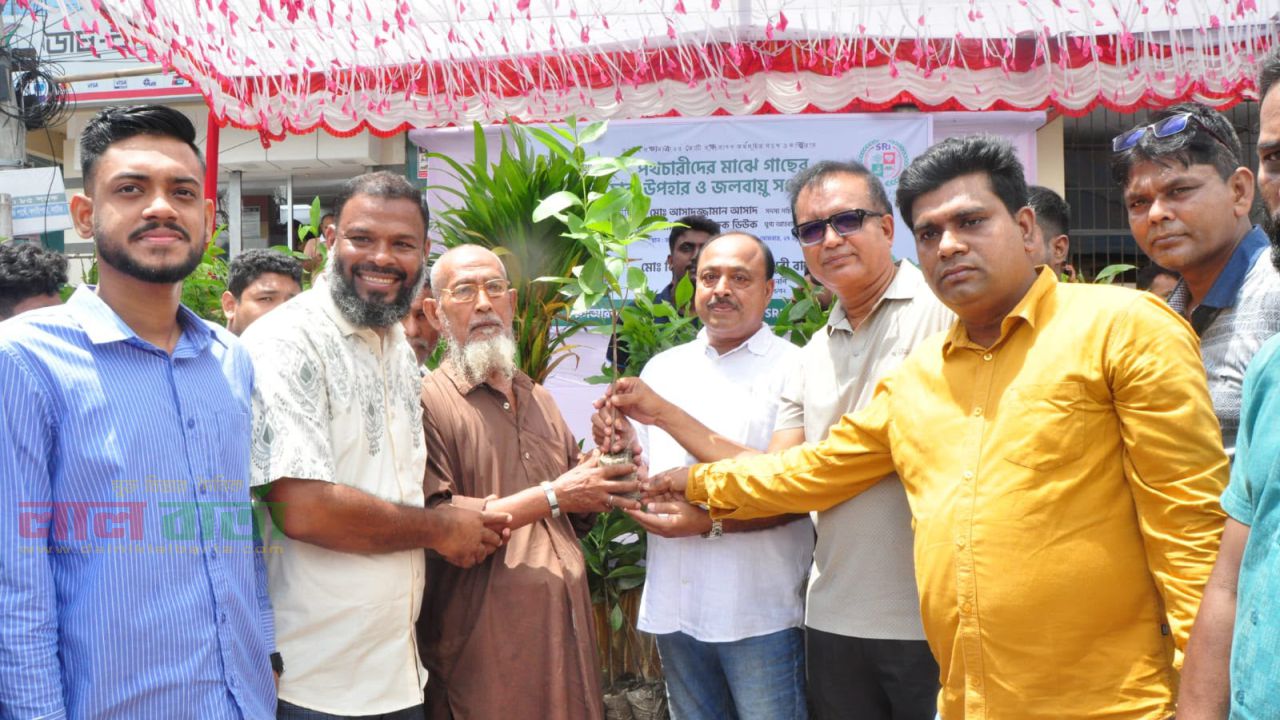 নাটোরে পথচারীদের মাঝে গাছের চারা বিতরণ 