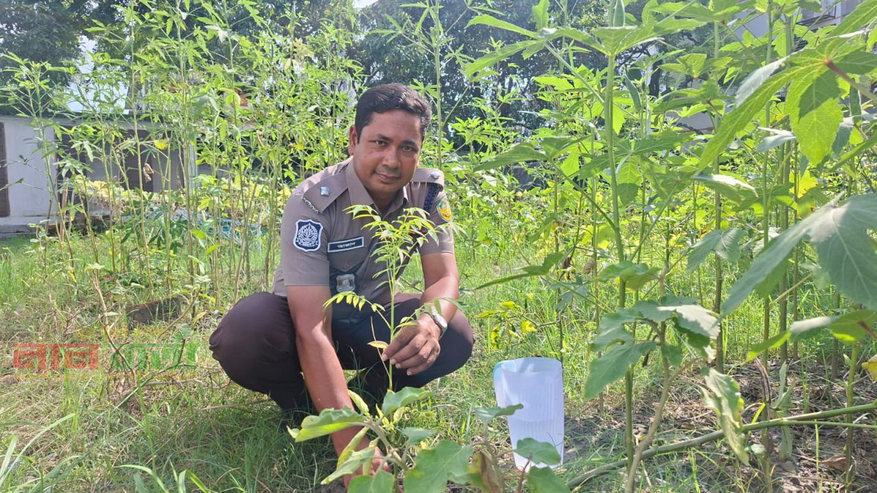 আরএমপি'র রাজপাড়া থানার উদ্যাগে ফলজ ও বনজ গাছের চারা রোপন