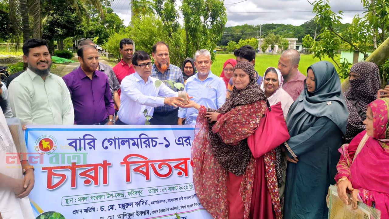 ফরিদপুরে মশলা চাষের নতুন দুয়ার: বারি'র আধুনিক প্রশিক্ষণ ও গোলমরিচ চারা বিতরণ